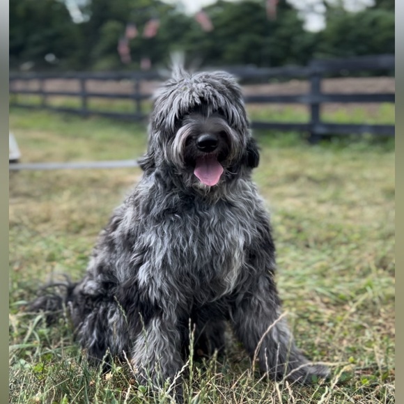 Meet your Posher, Renée - Picture 7 of 9